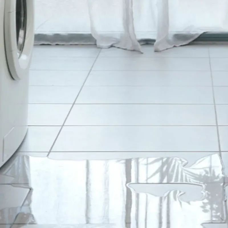 Appliance Leak Cleanup in Chandler, AZ